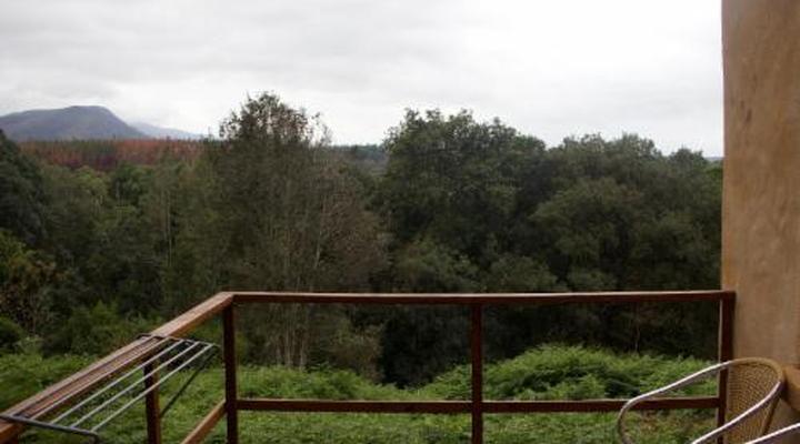 Wild Spirit Backpackers Lodge