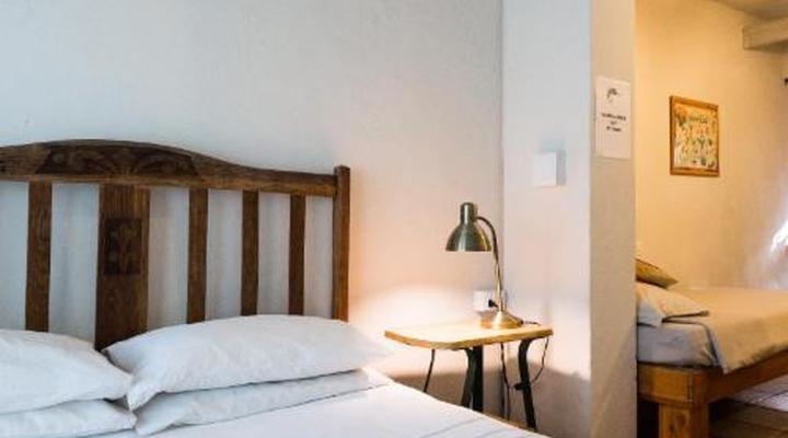 Wild Spirit Backpackers Lodge