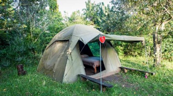 Wild Spirit Backpackers Lodge