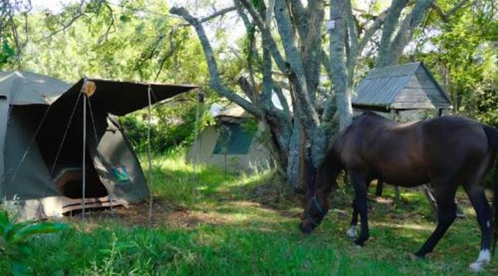 Wild Spirit Backpackers Lodge