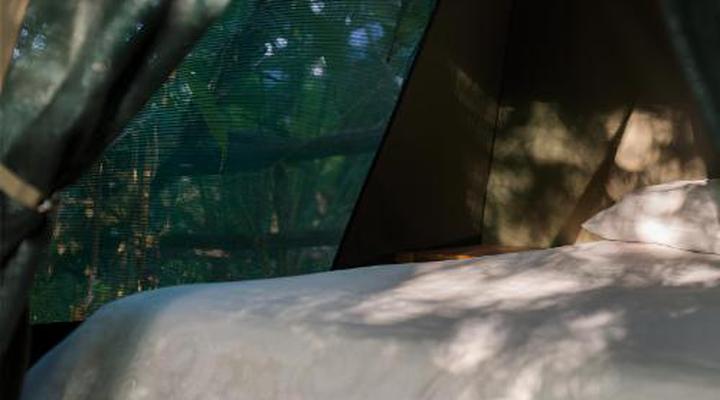 Wild Spirit Backpackers Lodge