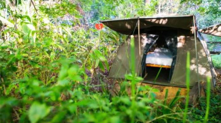 Wild Spirit Backpackers Lodge