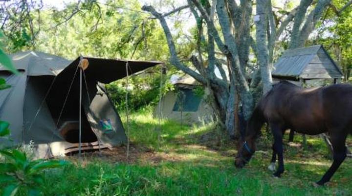 Wild Spirit Backpackers Lodge