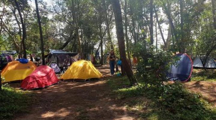 Wild Spirit Backpackers Lodge