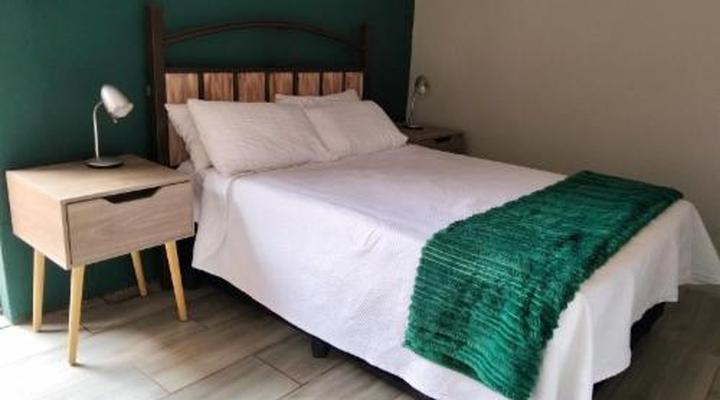 Finch and Fern Guest house