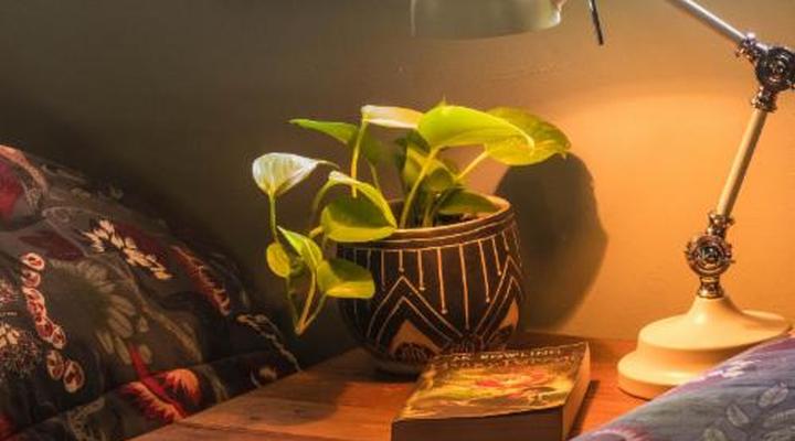 Hasekamp Hospitality