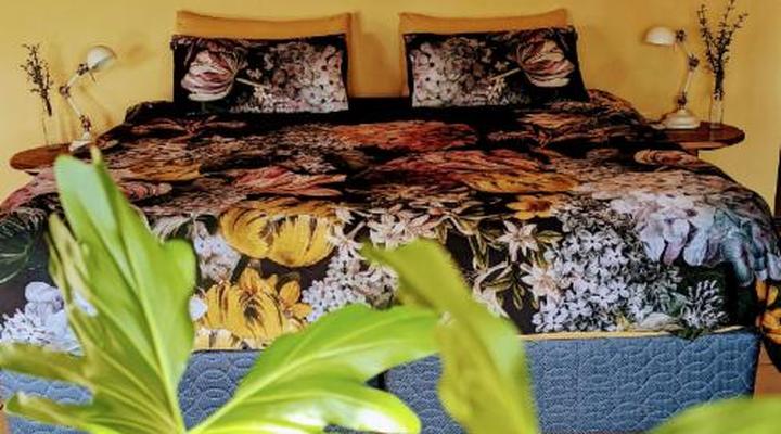 Hasekamp Hospitality