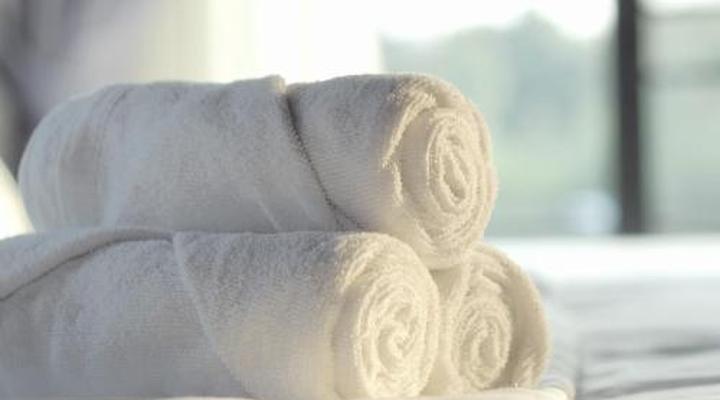 Gwango Tamarillo Estate