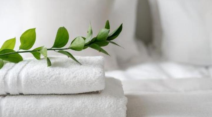 Gwango Tamarillo Estate