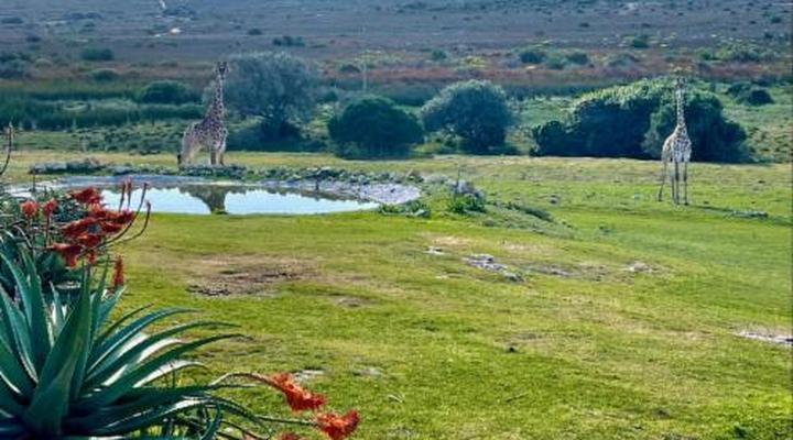 Swartklip Game Lodge