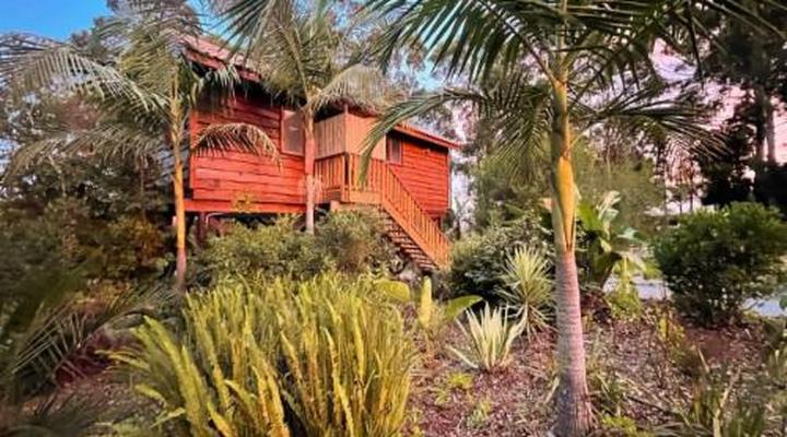 Adventurer's Escape HQ