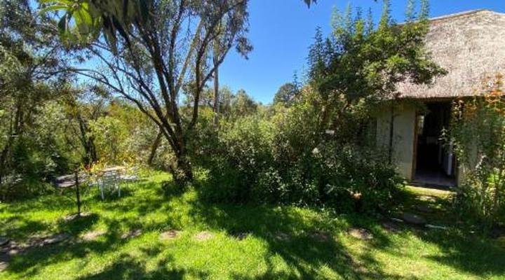 Sani Lodge & Cottages