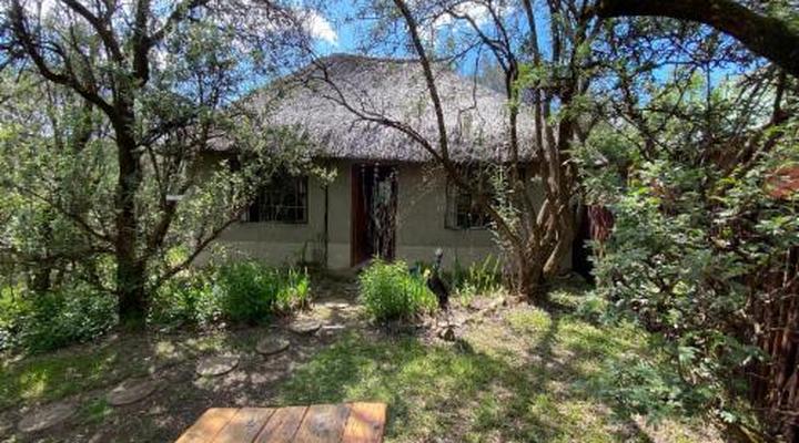 Sani Lodge & Cottages