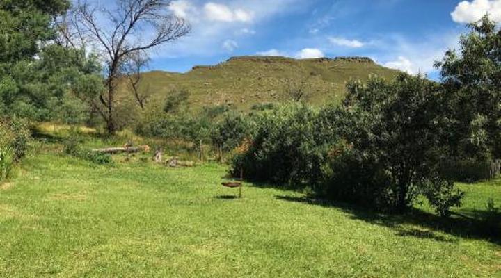 Sani Lodge & Cottages