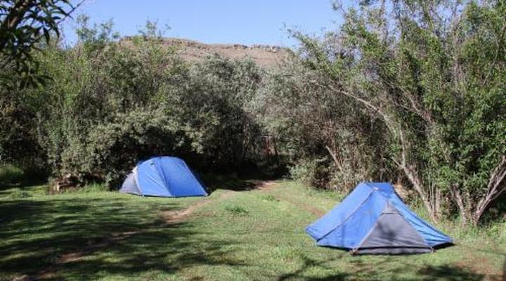 Sani Lodge & Cottages