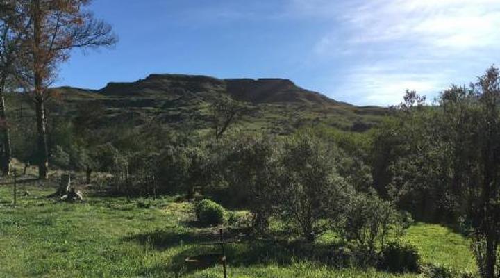 Sani Lodge & Cottages