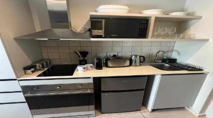 Urban Elephant The Rose