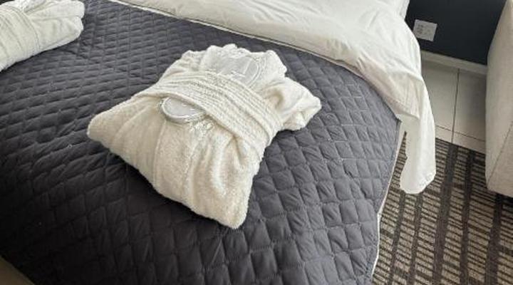 Urban Elephant The Rose