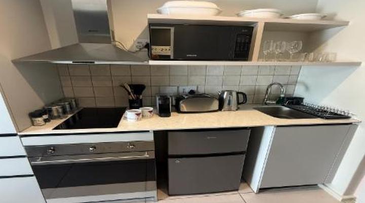 Urban Elephant The Rose