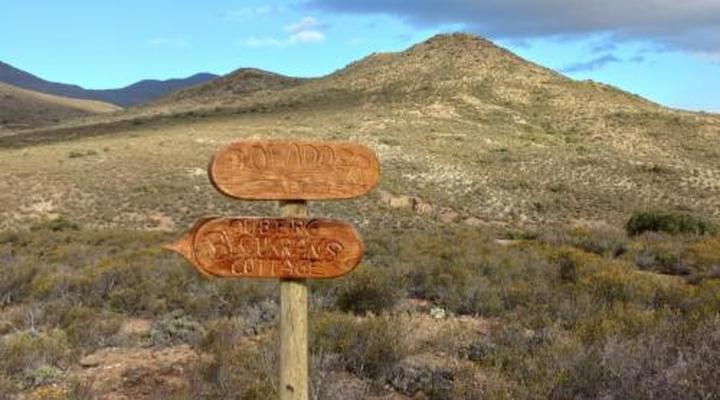 Bloukrans Off-Grid Cabin