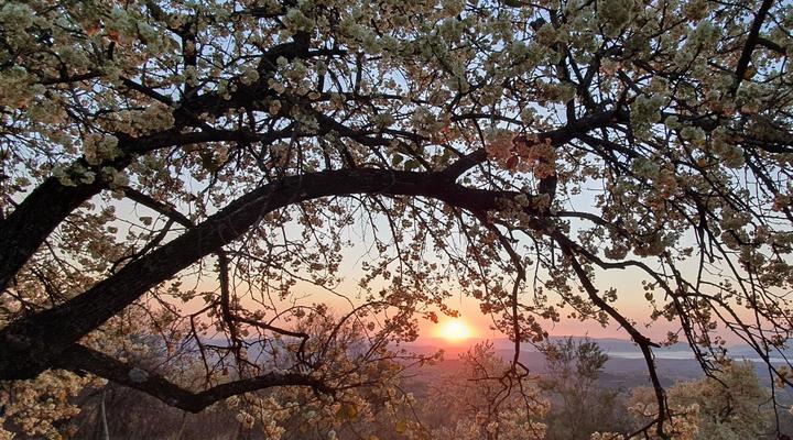 Wide Horizons Mountain Retreat
