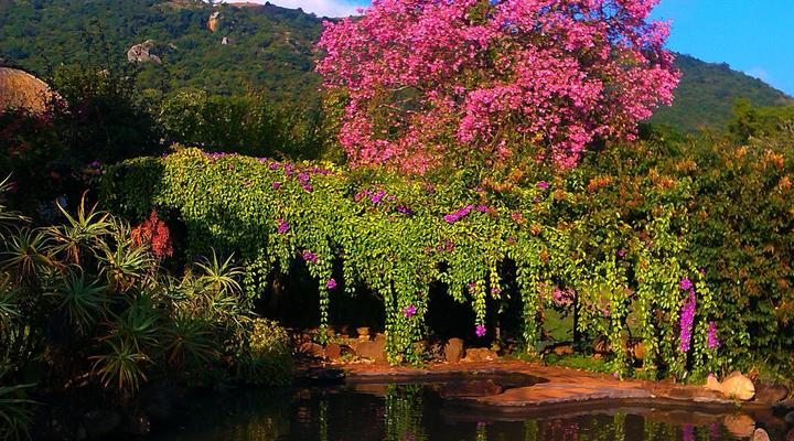 Wide Horizons Mountain Retreat