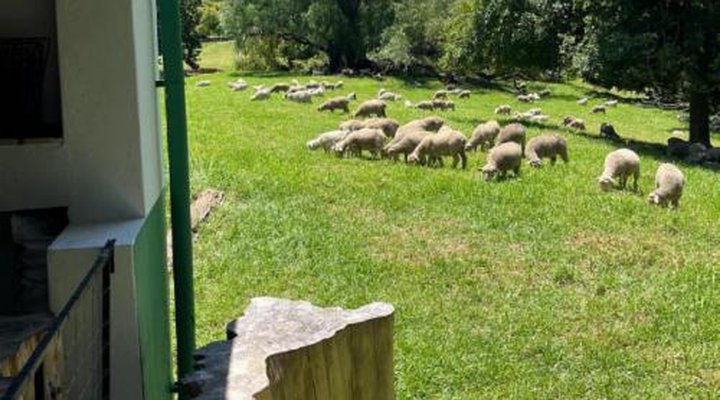 Glen Avon Farm