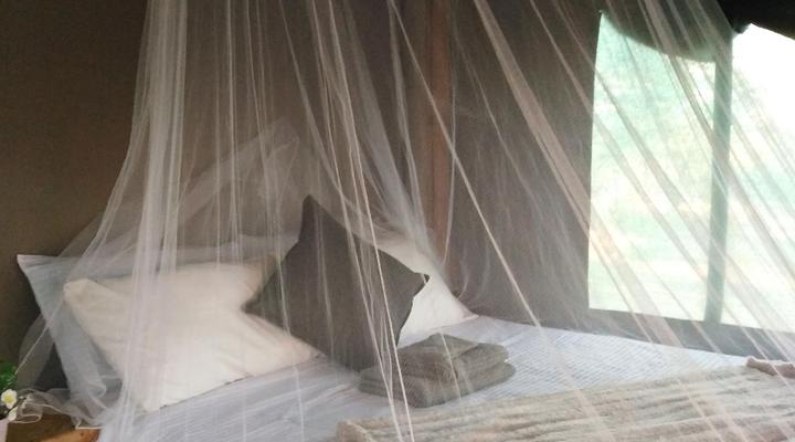 Shanatsi Safari Lodge - Kruger