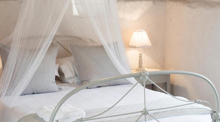 Prince Albert Country Stay