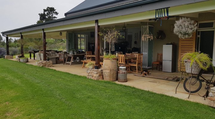 Camphor Tree Cottage