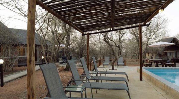 Tusk Bush Lodge & Photographic Safaris