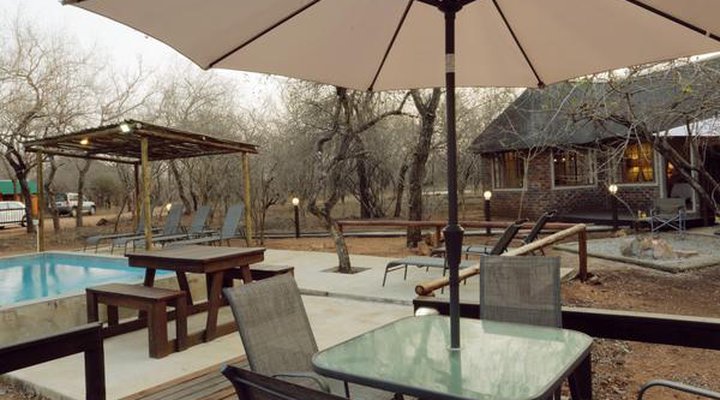 Tusk Bush Lodge & Photographic Safaris