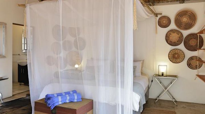Tusk Bush Lodge & Photographic Safaris
