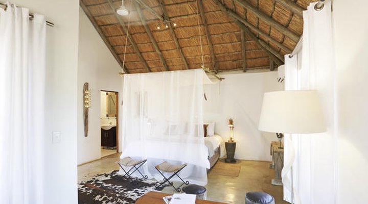 Tusk Bush Lodge & Photographic Safaris