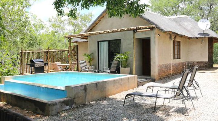 Tusk Bush Lodge & Photographic Safaris