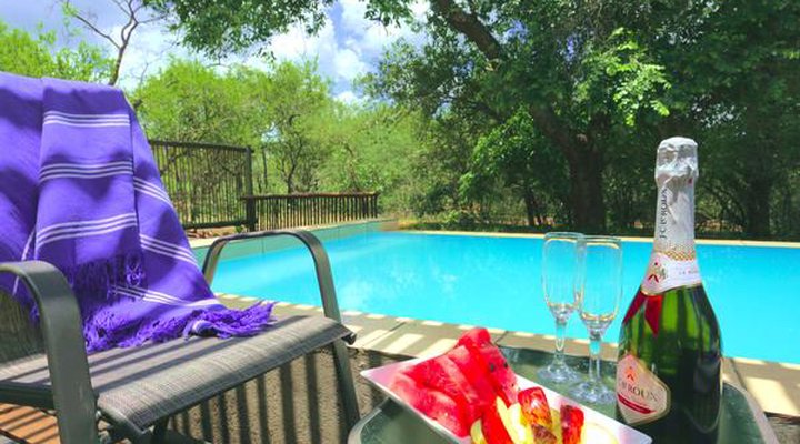 Tusk Bush Lodge & Photographic Safaris