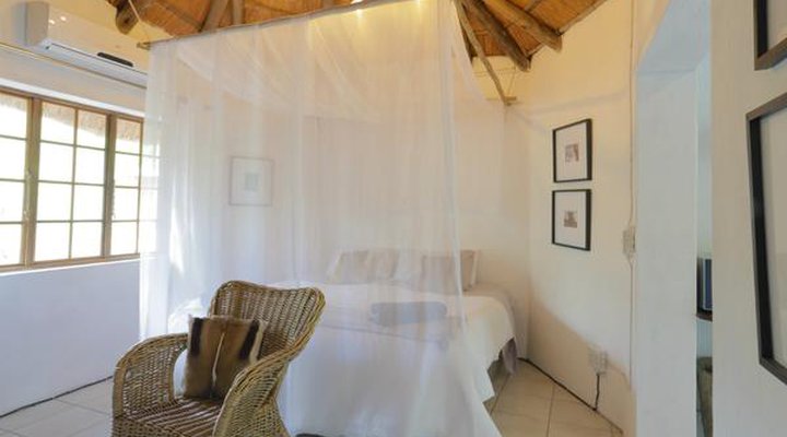 Tusk Bush Lodge & Photographic Safaris