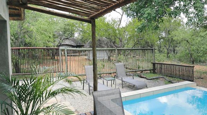 Tusk Bush Lodge & Photographic Safaris