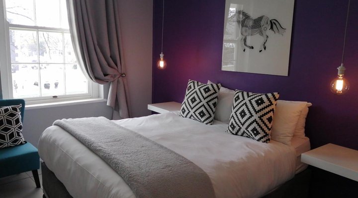 The Vibe
