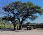 Kalahari Bush Breaks